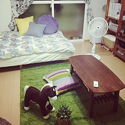 部屋全体/IKEA/１Ｋ/賃貸のインテリア実例 - 2014-07-21 23:57:23