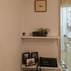 棚/DIY/IKEA/観葉植物のインテリア実例 - 2016-02-25 18:11:03
