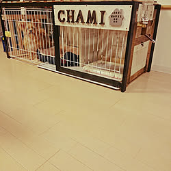 chamiさんのお部屋