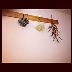 壁/天井/DIY/植物のインテリア実例 - 2012-08-24 10:13:26