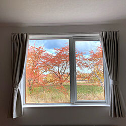 窓/寝室/紅葉がキレイ/寝室の窓/寝室の窓辺...などのインテリア実例 - 2021-03-25 12:51:43