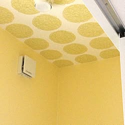 バス/トイレ/壁紙/新築/建築中/yellowのインテリア実例 - 2013-12-09 14:08:02