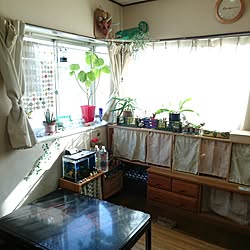 部屋全体/水槽/カラーボックス/転写シール/ヨーヨーキルト...などのインテリア実例 - 2017-02-28 09:19:48