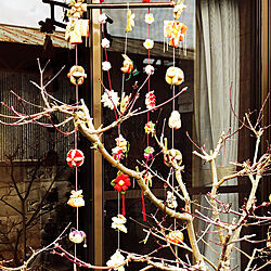 華やかになる/冬枯れの木に/つるし飾り/雛人形/真壁雛めぐり...などのインテリア実例 - 2019-03-02 13:20:55