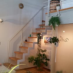 部屋全体/フィロデンドロン/プラハン/フレグラントフォール（芳香ベゴニア）/ハンドメイド...などのインテリア実例 - 2016-07-07 10:56:28