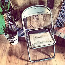 パイプ椅子をリメイク/DIY/多肉植物/壁/天井のインテリア実例 - 2015-05-26 01:03:10