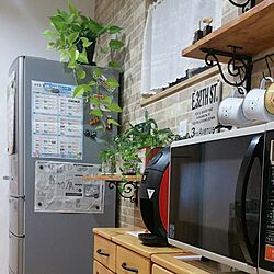 キッチン/バリスタ/植物/カフェ風のインテリア実例 - 2017-05-20 21:13:33
