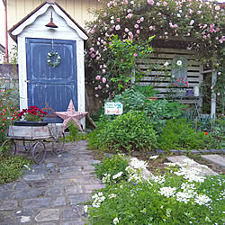 庭/ガーデン/バラ/パリの石畳に憧れて/ガーデニング...などのインテリア実例 - 2020-05-23 20:36:02