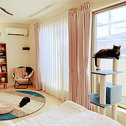猫と暮らす家/ねこのいる日常/ねこと暮らす/自分の部屋/部屋全体のインテリア実例 - 2022-09-30 09:10:45
