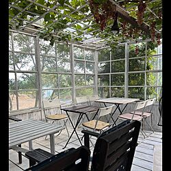 オープン前/サンルームカフェ/日除けで植えたブドウのインテリア実例 - 2023-06-08 12:04:53