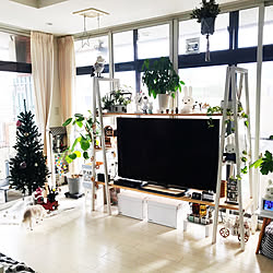 クリスマス/NEOS/salut!/DIY/クリスマスツリー...などのインテリア実例 - 2019-12-23 23:20:03