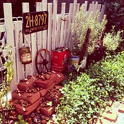 玄関/入り口/ナチュラルガーデン/雑貨/植物/DIY...などのインテリア実例 - 2013-08-12 10:44:56