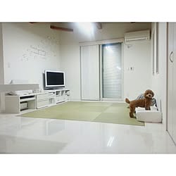 リビング/シンプル/平屋/畳コーナー/犬と暮らす...などのインテリア実例 - 2016-12-18 21:53:47