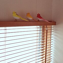 窓辺/colle(3coins)/鳥のインテリア実例 - 2014-02-11 17:26:20