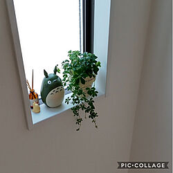 棚/階段/明かり取りの窓/トトロのインテリア実例 - 2021-10-11 12:31:37