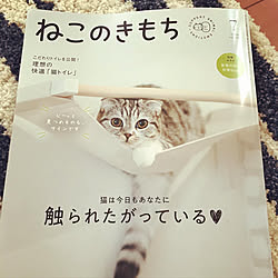 りんごねこ/猫のいる暮らし/猫とインテリア/コロナが早く終息して普通の生活に戻りたい/銀ちゃん...などのインテリア実例 - 2020-06-04 09:56:11