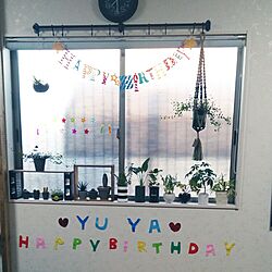 壁/天井/nanakoちゃんのプラントハンガー/IKEA/長男誕生日☆/いいねとフォローありがとうございますのインテリア実例 - 2016-02-18 07:36:15