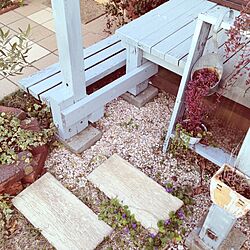 玄関/入り口/植物/タダの物はよく育つ/庭のインテリア実例 - 2014-02-05 12:41:07