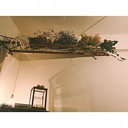 壁/天井/古いもの/花のある暮らし/植物/一人暮らし...などのインテリア実例 - 2017-07-16 22:02:02