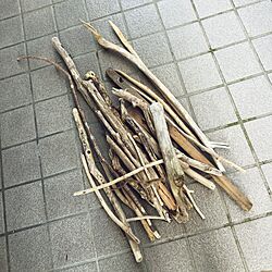玄関/入り口/流木のインテリア実例 - 2015-05-27 18:11:03