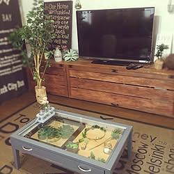 部屋全体/サインボード/バスロールサイン風/ニトリのフェイクグリーン/テレビボードDIY...などのインテリア実例 - 2017-06-18 17:24:33