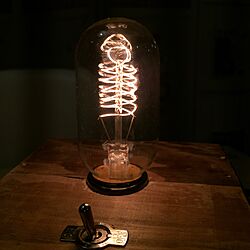 リビング/エジソン電球/DIY/照明のインテリア実例 - 2017-04-29 00:54:23
