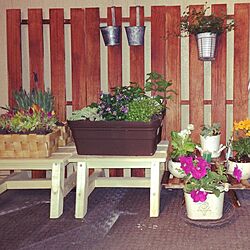 植物/ガーデン模様替え準備中♡のインテリア実例 - 2014-04-24 18:53:17