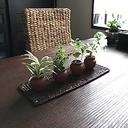 机/アジアン/観葉植物/お気に入りの家具たち♥︎のインテリア実例 - 2016-09-11 07:41:41