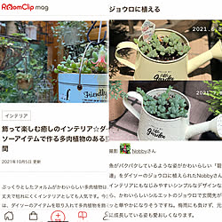 RoomClip mag/いつも見てくださって、感謝です♡/閲覧ありがとうございます/植物のある暮らし/棚のインテリア実例 - 2021-10-06 14:26:15