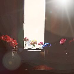 お花たち/春/植物/窓/雑貨...などのインテリア実例 - 2013-03-25 08:18:04