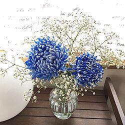 棚/IKEAの照明/お花のある暮らし/菊/ミニ模様替え...などのインテリア実例 - 2017-06-09 16:50:51