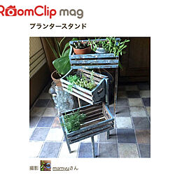 RoomClip mag/DIY/部屋全体のインテリア実例 - 2023-03-16 10:22:02