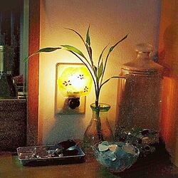 キッチン/海で拾ったシーグラス/宝物のビー玉/ガラス瓶/照明...などのインテリア実例 - 2015-10-26 21:48:34