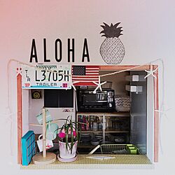 キッチン/ALOHA/パイナップル/BEACH STYLE/IG---chiii.20...などのインテリア実例 - 2016-06-02 17:25:16