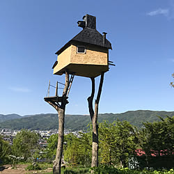 ツリーハウス/建築家/うちじゃないのインテリア実例 - 2018-05-10 00:53:26