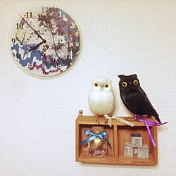 壁/天井/セリア/フクロウのインテリア実例 - 2014-06-28 19:51:17