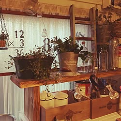 部屋全体/ロハスでGET/DIY/多肉植物/観葉植物...などのインテリア実例 - 2016-05-15 17:51:04