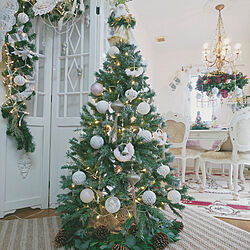リビング/クリスマス/足元 フェイクグリーンと松ぼっくり置く/もみの木から、松ぼっくり落ちてる様子/クリスマスツリー...などのインテリア実例 - 2020-12-22 21:55:44