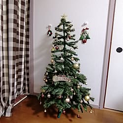 壁/天井/団地/築40年以上/クリスマス/クリスマスツリー...などのインテリア実例 - 2023-12-02 17:08:11