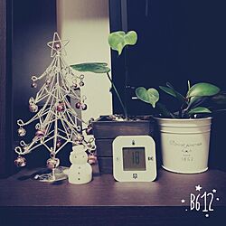 リビング/ニトリ/観葉植物/セリア/IKEAのインテリア実例 - 2015-12-14 16:25:14