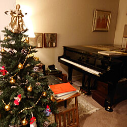 リビング/グランドピアノ/ピアノがある部屋/クリスマスツリーのインテリア実例 - 2021-12-19 19:51:46