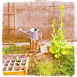 雑貨/植物/庭のインテリア実例 - 2014-04-01 16:28:51
