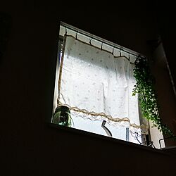 壁/天井/小窓/階段の窓/手作りカーテン♡/ニトリのフェイクグリーンのインテリア実例 - 2017-05-22 13:23:38
