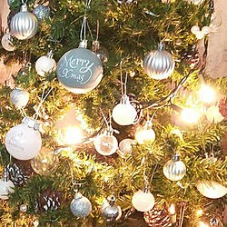 リビング/クリスマス/クリスマスツリーのインテリア実例 - 2022-12-25 16:35:05