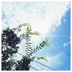 Rainbow/summer sky/空/逆さ虹/のんびり...などのインテリア実例 - 2015-08-07 12:13:07
