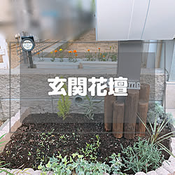 ダイソー/雑貨/DIY/ミニバラ/観葉植物...などのインテリア実例 - 2020-06-16 23:52:11