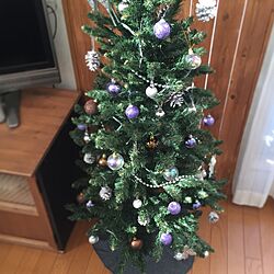 リビング/クリスマスツリーのインテリア実例 - 2014-12-02 09:23:17