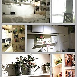 部屋全体/DIY/手作り/植物/IKEA...などのインテリア実例 - 2013-10-18 03:47:37