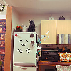 キッチン/IKEAふきん/冷蔵庫ステッカー/お留守番/黒猫ミースケ...などのインテリア実例 - 2023-10-21 01:46:37