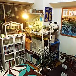 部屋全体/植物/観葉植物/IKEA/エアープランツ...などのインテリア実例 - 2015-11-07 20:16:46